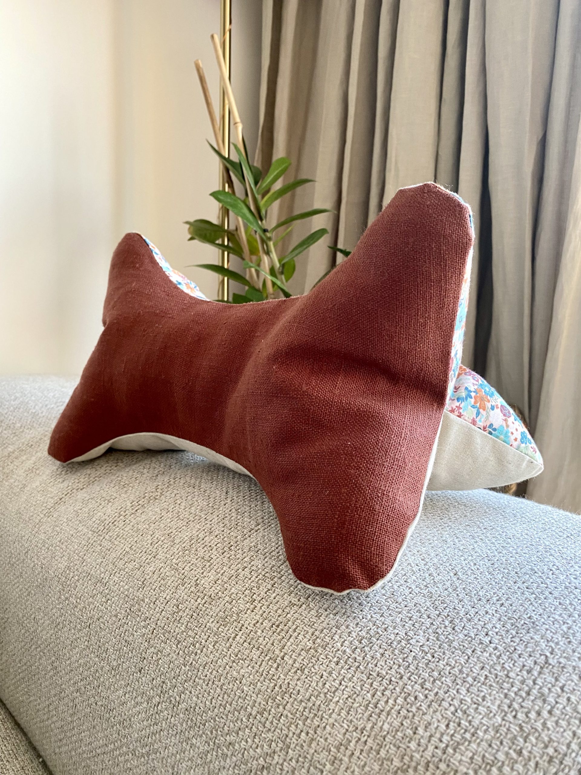 COUSSIN DE LECTURE - PAULA
