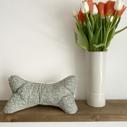 COUSSIN DE LECTURE - CELESTE