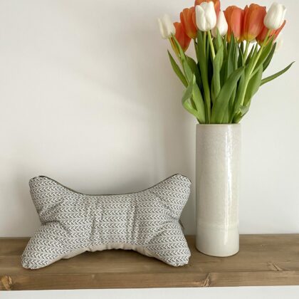 COUSSIN DE LECTURE - SASHA