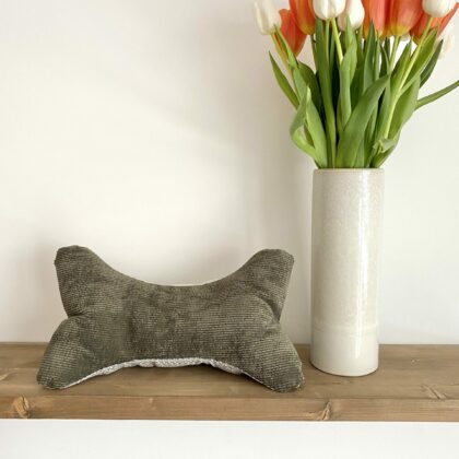 COUSSIN DE LECTURE - SASHA