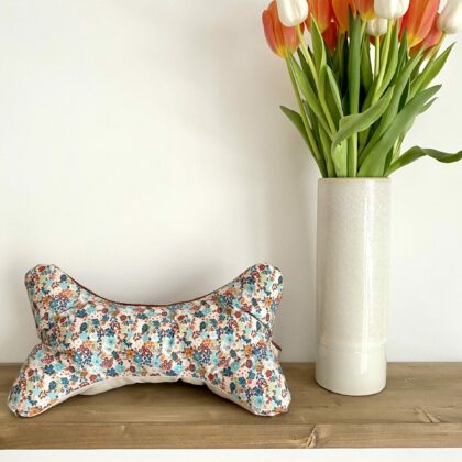 COUSSIN DE LECTURE - PAULA