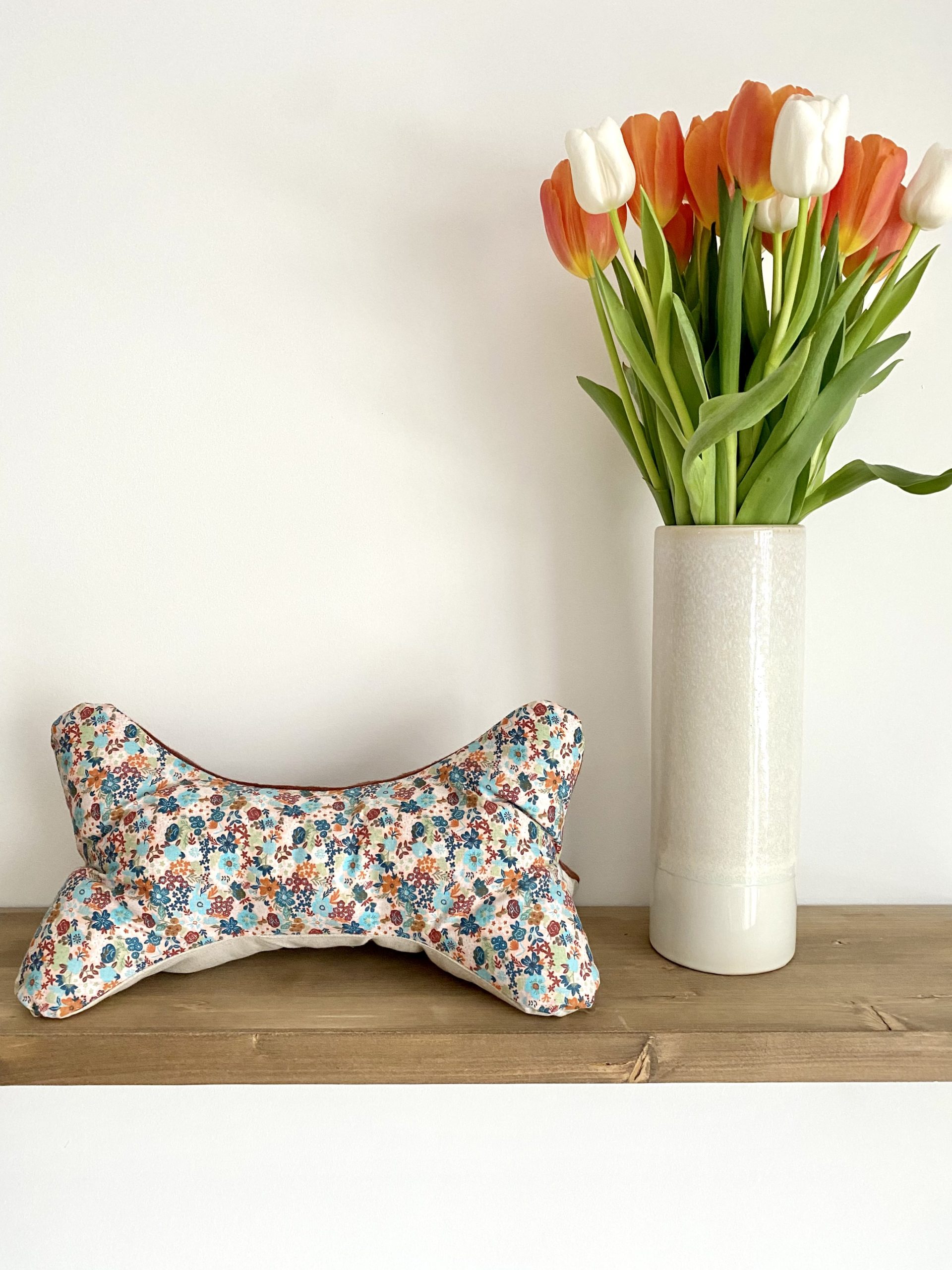 COUSSIN DE LECTURE - PAULA