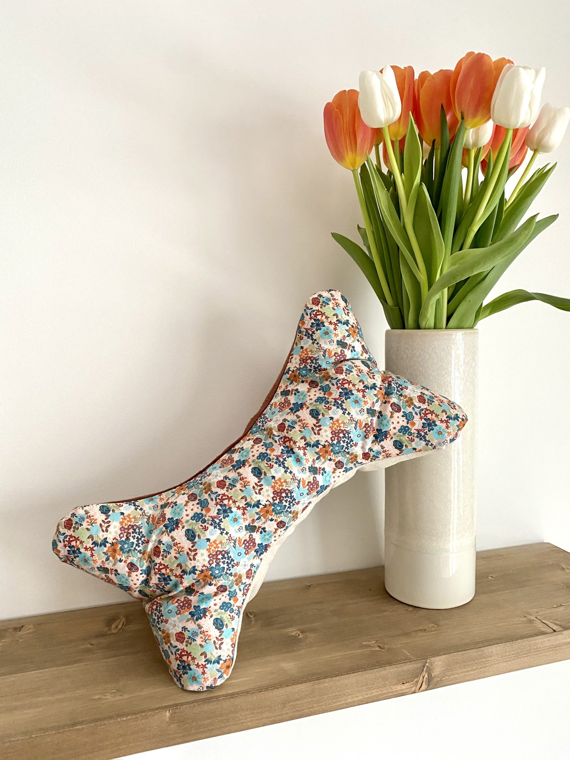 COUSSIN DE LECTURE - PAULA