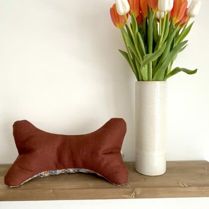 COUSSIN DE LECTURE - PAULA