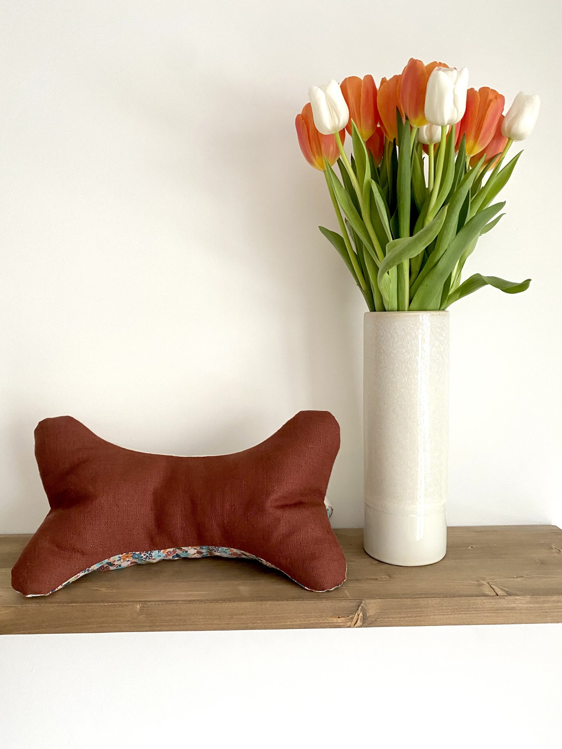 COUSSIN DE LECTURE - PAULA