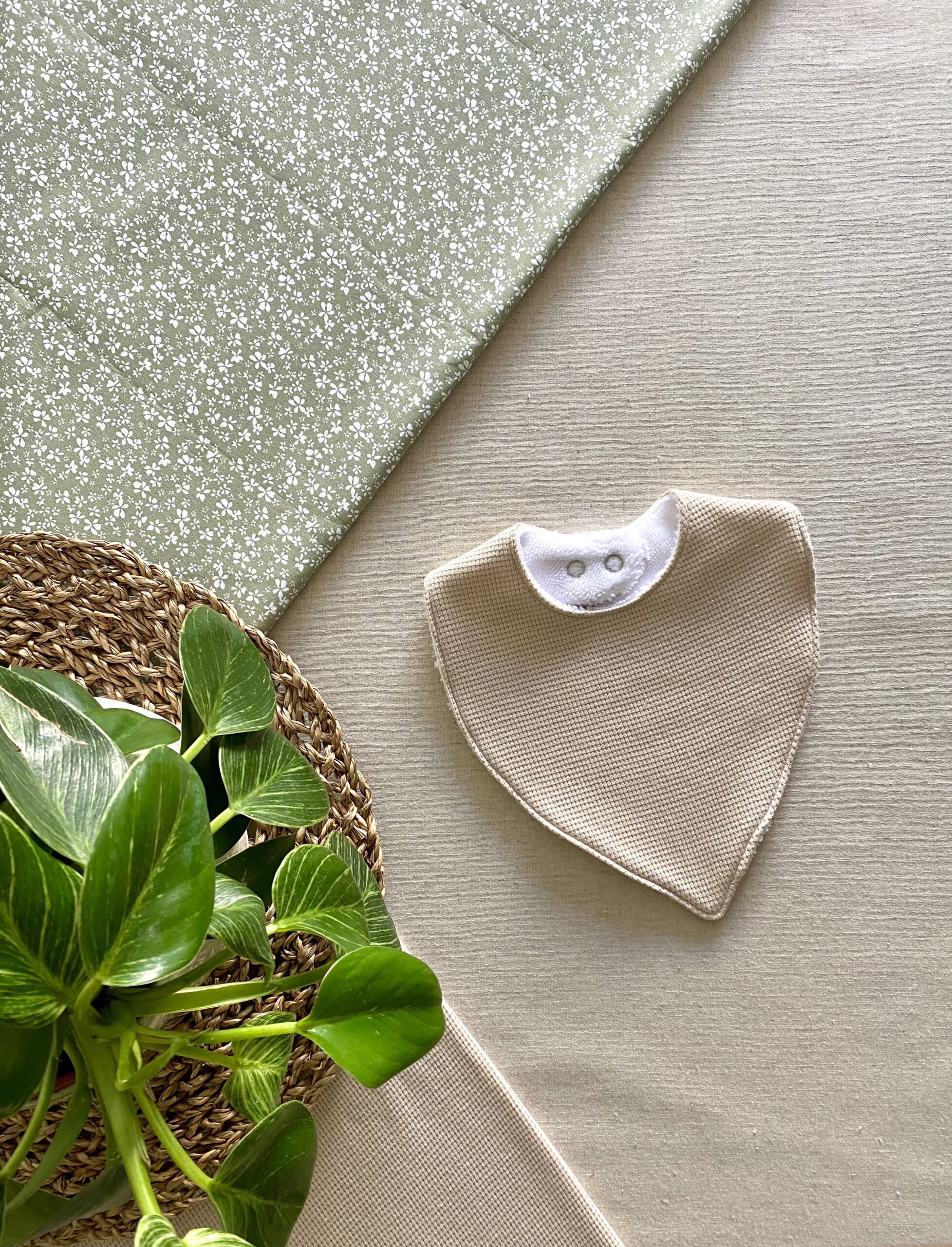 BAVOIR - COLLECTION CELESTE