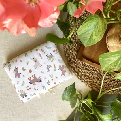 RANGE-BARETTES ENFANT - JULES
