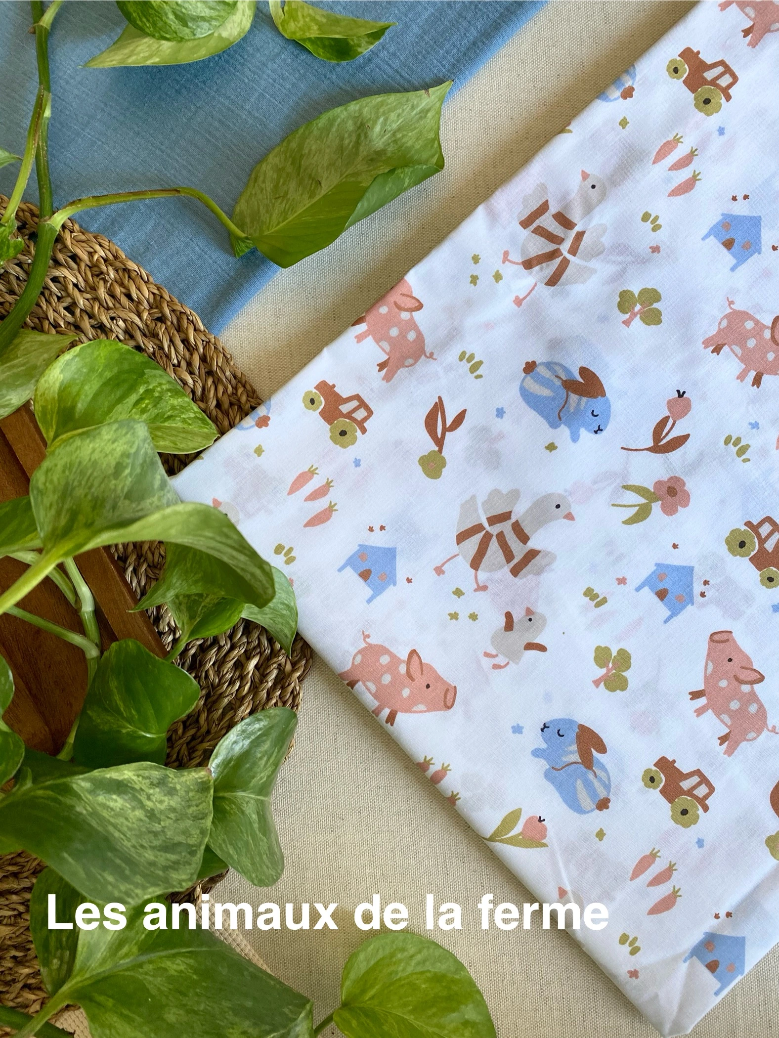 LES ANIMAUX DE LA FERME