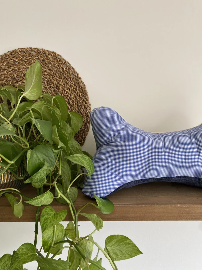 COUSSIN DE CERVICALES - VICHY