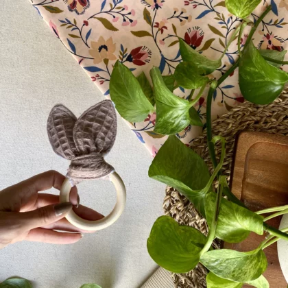 ANNEAU DE DENTITION - ALEX