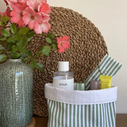 PANIER DE RANGEMENT ET ÉTUI À BROSSE À DENTS - RAYURES VERTES