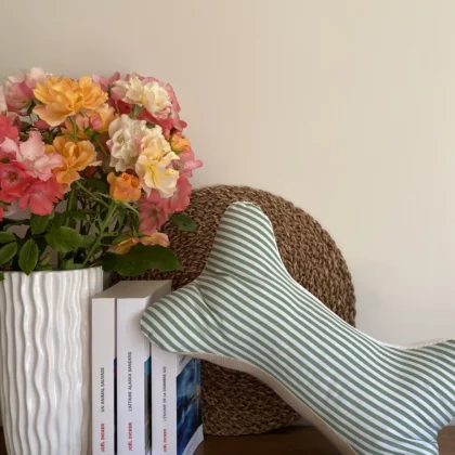 COUSSIN DE CERVICALES - RAYURES VERTES