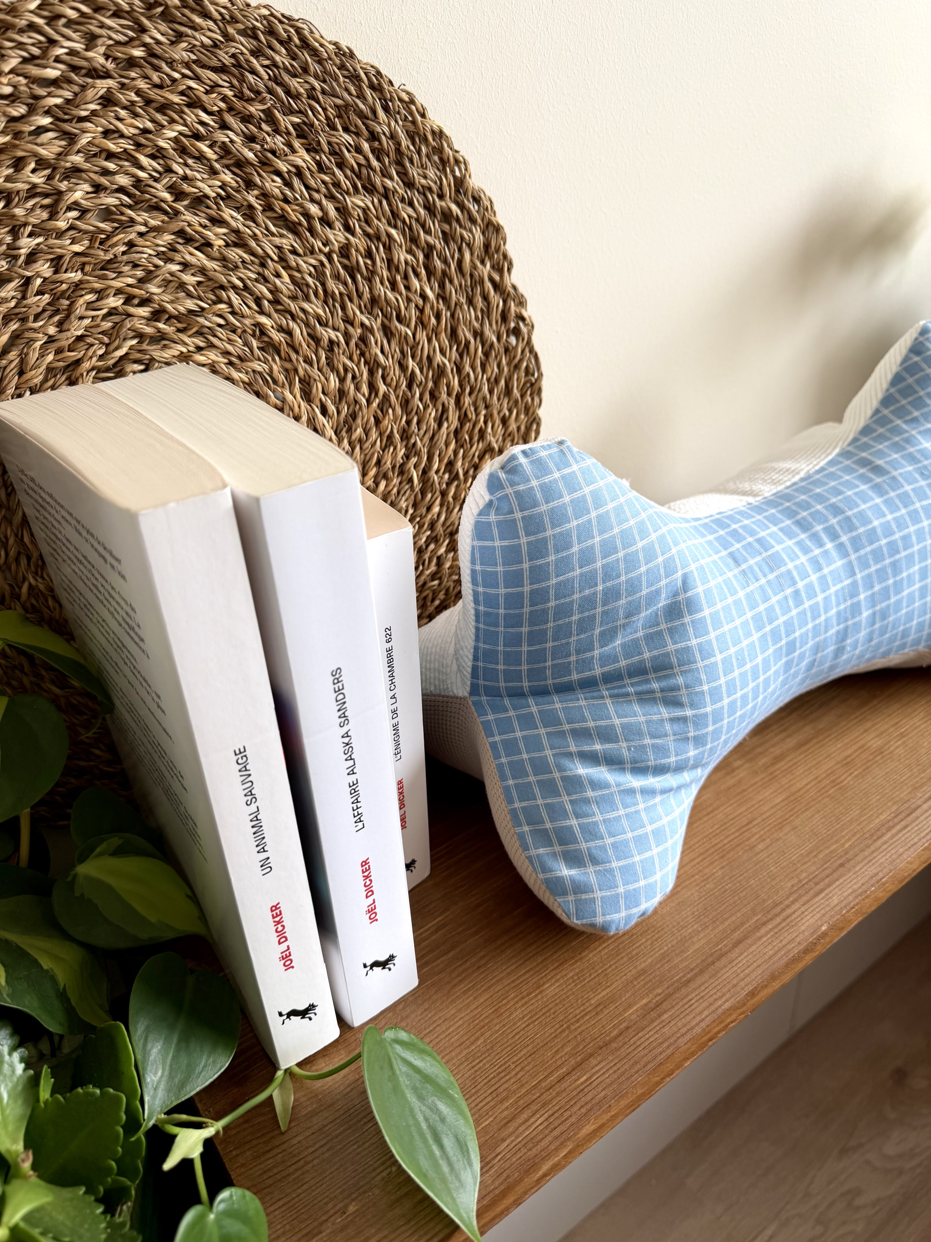 COUSSIN DE CERVICALES - MAX
